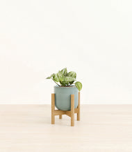 Load image into Gallery viewer, Reactive Aqua stand:bamboo
