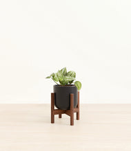 Load image into Gallery viewer, Stone Black stand:walnut
