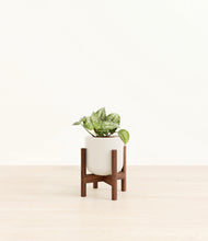 Load image into Gallery viewer, Cotton White stand:walnut
