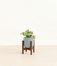 Load image into Gallery viewer, Misty Blue stand:walnut
