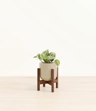 Load image into Gallery viewer, Sage Green stand:walnut
