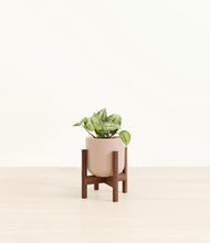 Load image into Gallery viewer, Sandy Pink stand:walnut
