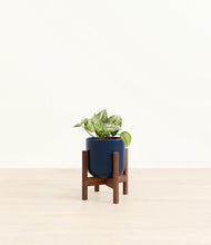 Load image into Gallery viewer, Twilight Blue stand:walnut
