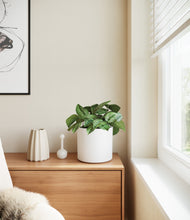 Load image into Gallery viewer, White
