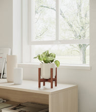 Load image into Gallery viewer, Cotton White stand:bamboo
