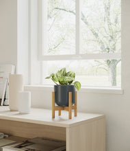 Load image into Gallery viewer, Iron Gray stand:bamboo
