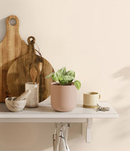 Load image into Gallery viewer, Sandy Pink
