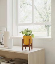 Load image into Gallery viewer, Sunset Orange stand:walnut
