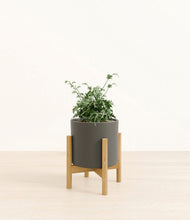Load image into Gallery viewer, Dark Olive stand:bamboo
