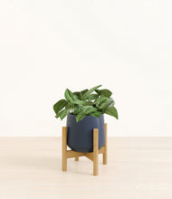 Load image into Gallery viewer, Deep Navy stand:bamboo
