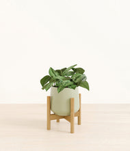 Load image into Gallery viewer, Turquoise stand:bamboo
