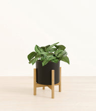 Load image into Gallery viewer, Black stand:bamboo

