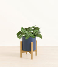 Load image into Gallery viewer, Deep Navy stand:bamboo
