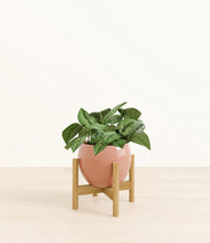 Load image into Gallery viewer, Calm Rose stand:bamboo
