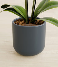 Load image into Gallery viewer, Iron Gray stand:all
