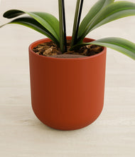 Load image into Gallery viewer, Earth Red stand:all
