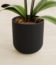 Load image into Gallery viewer, Stone Black stand:all
