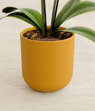 Load image into Gallery viewer, Sunset Orange stand:all
