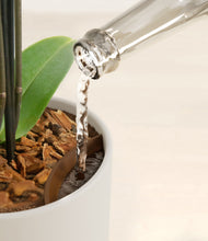 Load image into Gallery viewer, Natural Bamboo stand:all
