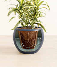 Load image into Gallery viewer, Deep Navy stand:all
