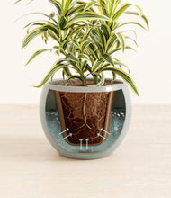 Load image into Gallery viewer, Deep Ocean stand:all
