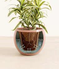 Load image into Gallery viewer, Calm Rose stand:all
