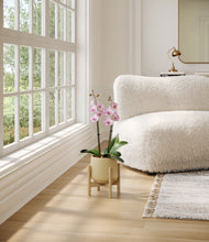 Load image into Gallery viewer, Almond Green stand:bamboo
