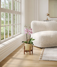 Load image into Gallery viewer, Almond Green stand:walnut
