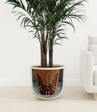 Load image into Gallery viewer, Natural Bamboo
