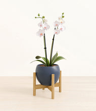 Load image into Gallery viewer, Deep Navy stand:bamboo
