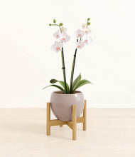 Load image into Gallery viewer, Winter Clouds stand:bamboo
