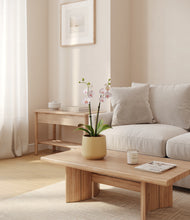 Load image into Gallery viewer, Almond Green
