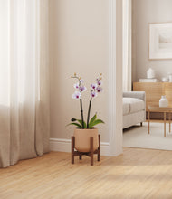 Load image into Gallery viewer, -
