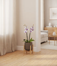 Load image into Gallery viewer, Olive stand:bamboo
