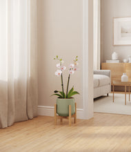 Load image into Gallery viewer, Turquoise stand:bamboo
