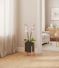 Load image into Gallery viewer, Dark Olive stand:bamboo
