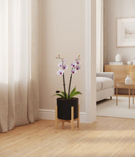 Load image into Gallery viewer, Black stand:bamboo
