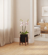 Load image into Gallery viewer, Black stand:walnut
