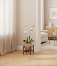 Load image into Gallery viewer, Desert Brown stand:walnut
