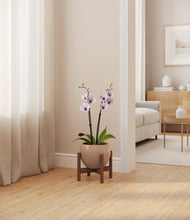 Load image into Gallery viewer, Desert Brown stand:walnut
