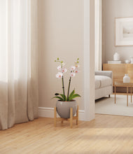 Load image into Gallery viewer, Winter Clouds stand:bamboo
