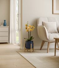Load image into Gallery viewer, Deep Navy stand:bamboo
