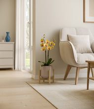 Load image into Gallery viewer, Eternal Gray stand:bamboo
