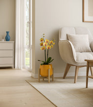 Load image into Gallery viewer, Mustard stand:bamboo
