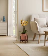 Load image into Gallery viewer, Calm Rose stand:walnut
