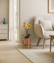 Load image into Gallery viewer, Calm Rose stand:bamboo
