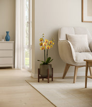 Load image into Gallery viewer, Olive stand:walnut
