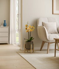 Load image into Gallery viewer, Olive stand:bamboo
