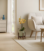 Load image into Gallery viewer, Turquoise stand:walnut
