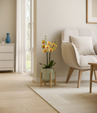 Load image into Gallery viewer, Turquoise stand:bamboo
